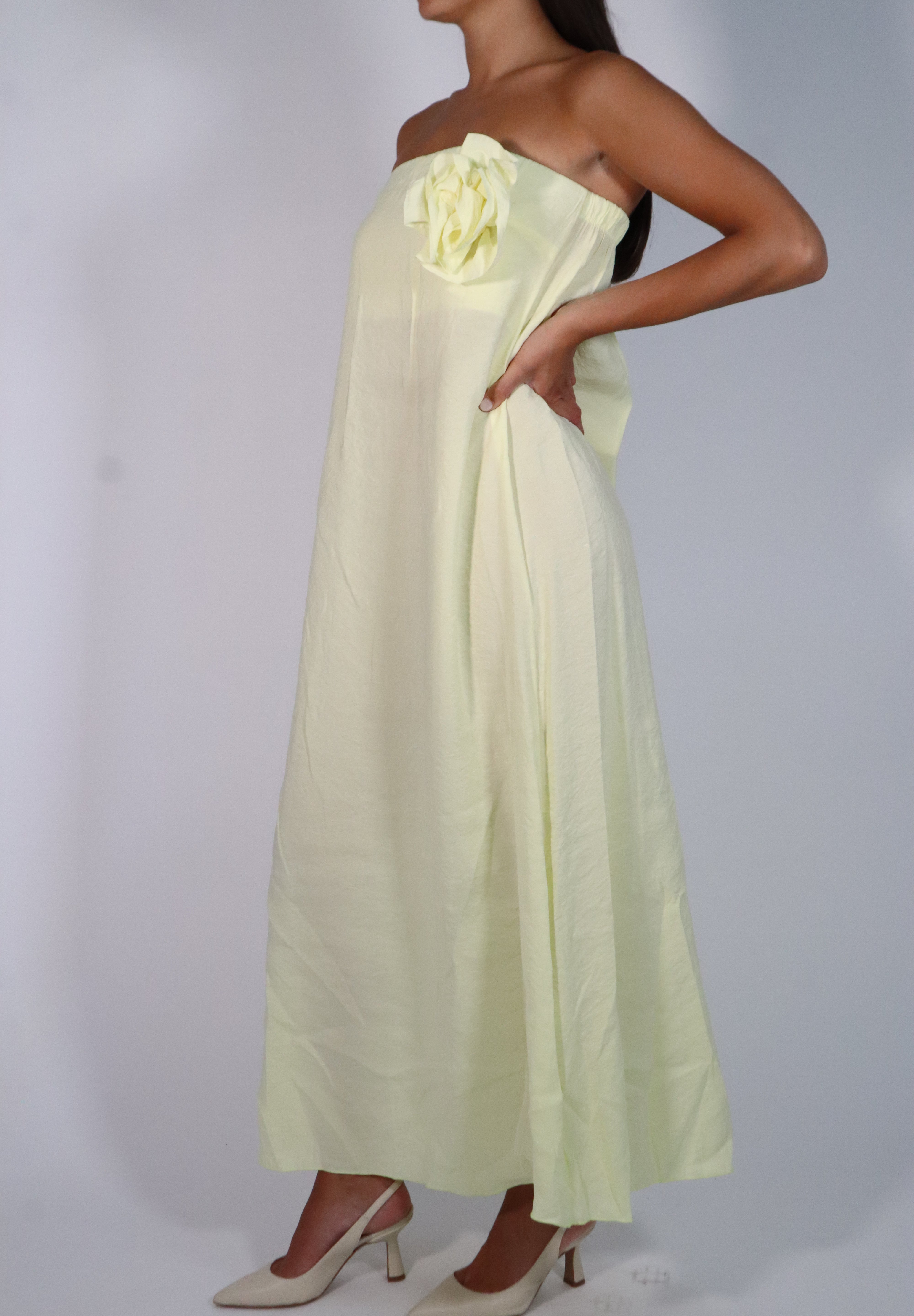 DRESS BONITA
