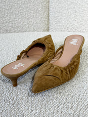 SABOT IN CAMOSCIO