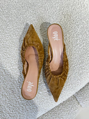 SABOT IN CAMOSCIO