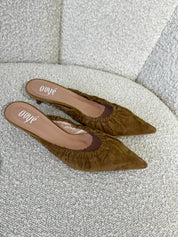 SABOT IN CAMOSCIO